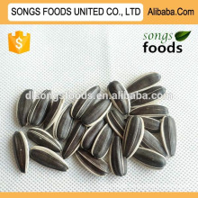 Chinese white sunflower seeds in alibaba